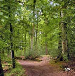 Récré nature Villecartier - forêt