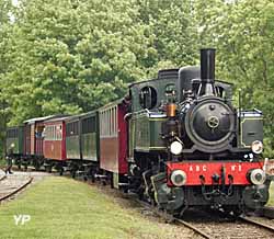 Train Thur Doller Alsace - la Mallet entre en gare de Burnhaupt (doc. Train Thur Doller Alsace)