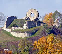 Château de l'Engelbourg (Ville de Thann)