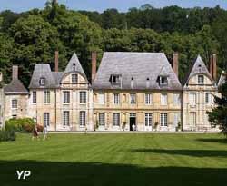 Parc et jardins du château du Taillis - hêtre pourpre