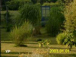 Jardin de l'un des sens