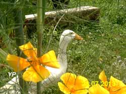 Jardin de l'un des sens