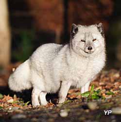 Parc zoologique et botanique de Mulhouse - espace Grand Nord