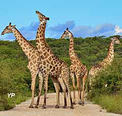 Zoo du Bassin d'Arcachon