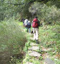 randonnée autour de Saint-André-de-Valborgne (doc. OT Saint-André-de-Valborgne)