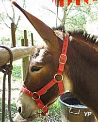 Parc de loisirs de l'Etang