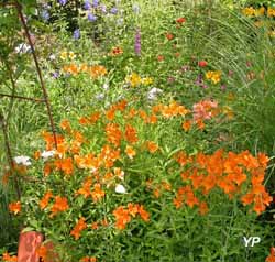 Jardin de la Ganille