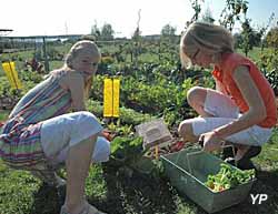 Parc Floral - atelier enfants : mon premier potager