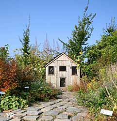 Parc Floral - jardin sauvage