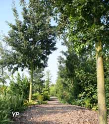 Parc Floral - jardin d’ombres (arbres et arbustes)