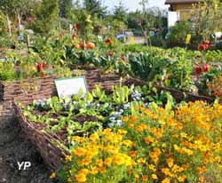 Parc Floral - potager