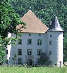 Château d'Etxauz à Saint-Etienne-de-Baïgorry (doc. OT Saint-Etienne-de-Baïgorry)