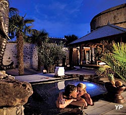 Château de Vallery - palmeraie