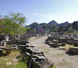 Site archéologique de Glanum - rue principale (doc. Office de Tourisme Saint Rémy de Provence)