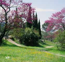 Saint-Rémy-de-Provence - les Alpilles au printemps