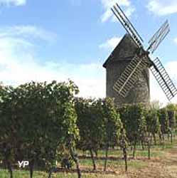 Moulin-musée du Haut Benauge (M. Maitrepierre)