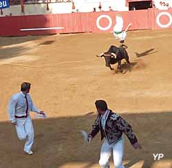 Arènes Jean Bartherotte - course landaise