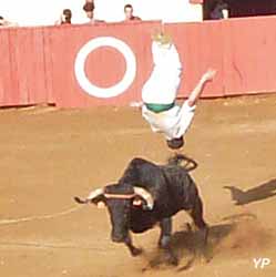 Arènes Jean Bartherotte - course landaise