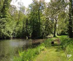 Château du Plessis Brion