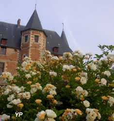 Château du Plessis Brion