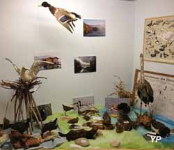 Musée Lac et Nature