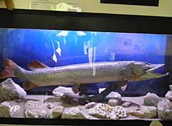 Musée Lac et Nature