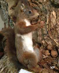 Musée Lac et Nature