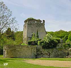 Château fort et motte castrale