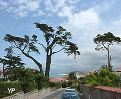 Guéthary (doc. Yalta Production)