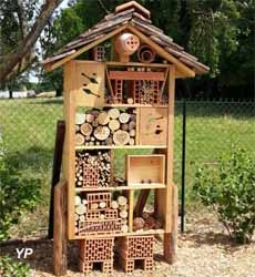 Jardin Secret de la Fée Verte - plante d’absinthe