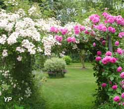 Château d'Hendecourt-lès-Cagnicourt - la pergola