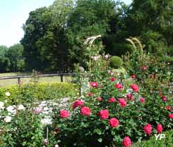 Château d'Hendecourt-lès-Cagnicourt - jardins