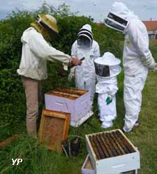 Maison des Abeilles - Parc naturel de la Brenne