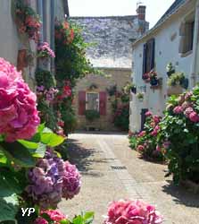 Piriac-sur-Mer - ruelle des Mouettes