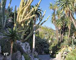Jardin Exotique de Monaco