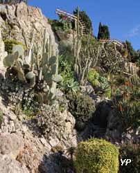 Jardin Exotique de Monaco