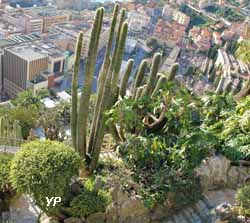 Jardin Exotique de Monaco (doc. Yalta Production)
