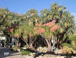 Jardin Exotique de Monaco