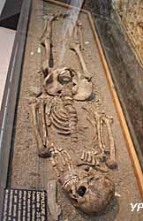 Musée d'Anthropologie Préhistorique - sépulture dite du 