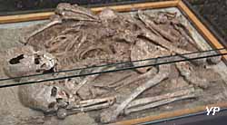 Musée d'Anthropologie Préhistorique - sépulture double dite des 