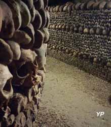 Catacombes - crânes