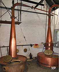 Distillerie Persyn - alambics