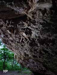 Musée Promenade - Hydropithèque  (Joan Fontcuberta)