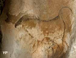 Grottes de Gargas - bison acéphale (doc. Raymond Springinsfeld)