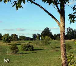 Arborétum des Pouyouleix