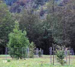 Arborétum des Pouyouleix