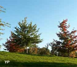 Arborétum des Pouyouleix