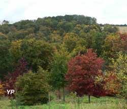 Arborétum des Pouyouleix