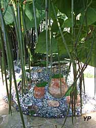 Jardin des Fleurs de Poterie