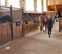 Musée du Cheval